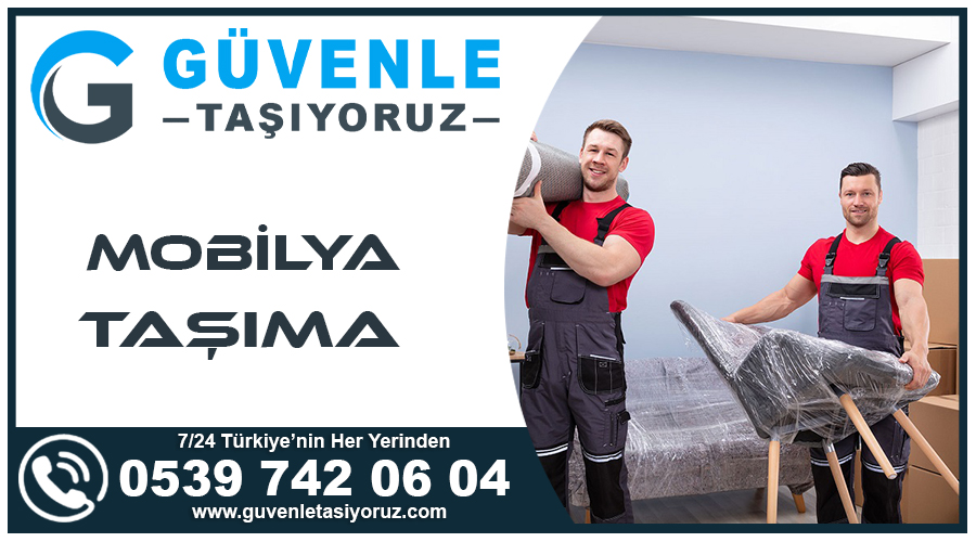 Mobilya Taşıma